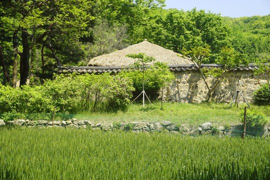 韩国田园大富人家庭院和麦田