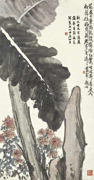 蒲華叢菊蕉石