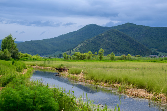 泸沽湖草海