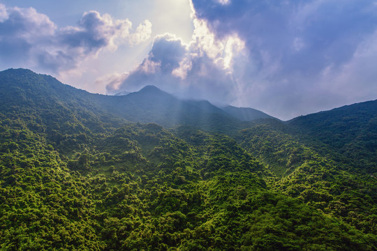 梧桐山风光