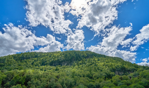 绿树青山