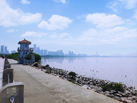 深圳湾公园海景