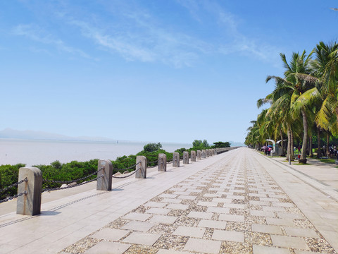 深圳湾海景