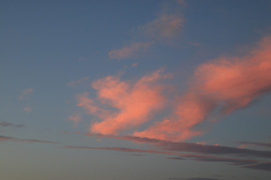 让夕阳染红的云彩彩云