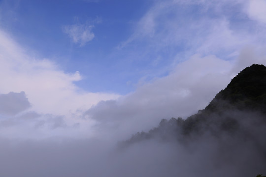 風景畫