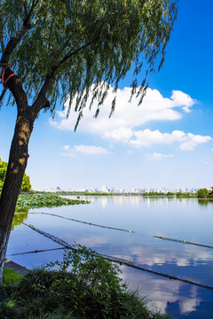 杭州西湖高清