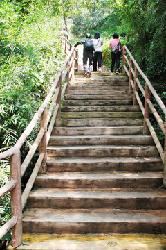 丹霞山山路