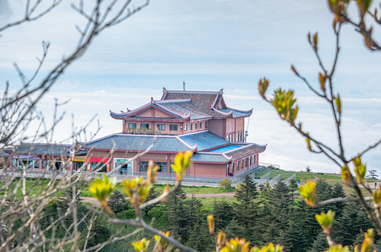 峨眉山的风光