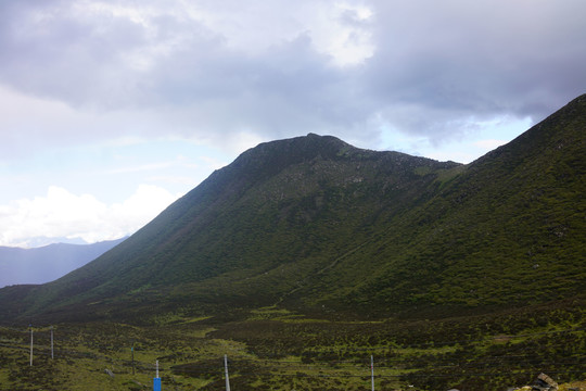 青山高清图