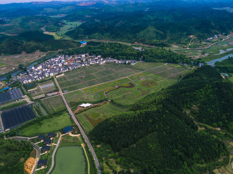 三合村新农村旅游