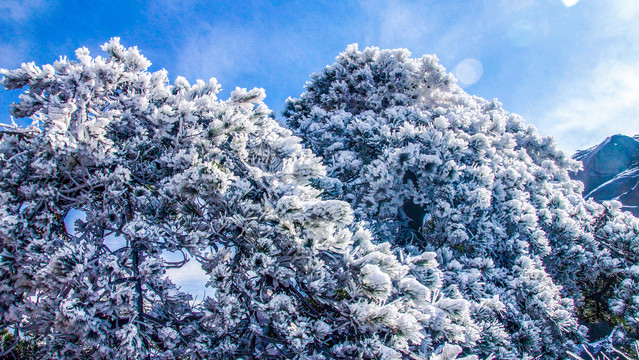 天柱山雪景