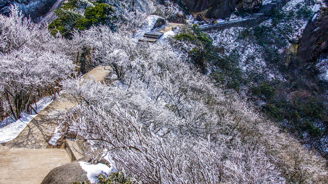 天柱山冬景