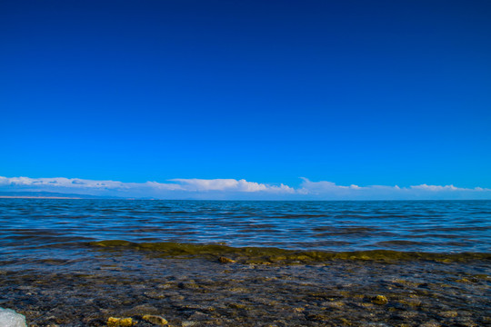 青海湖