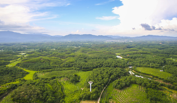 田野高清大图