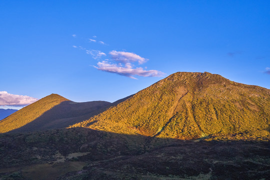 高山