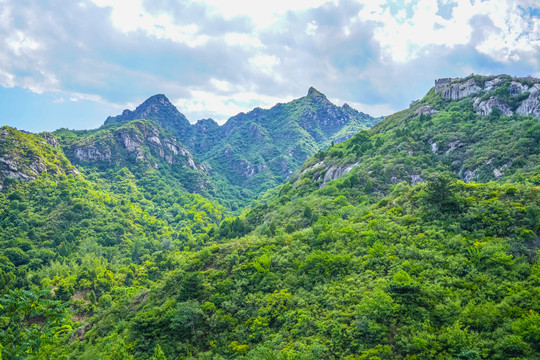 绿树青山高清大图