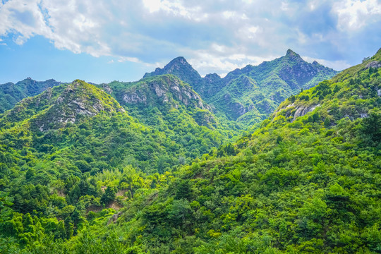 绿树青山高清大图