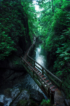 青城后山龙隐峡栈道