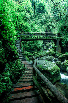 青城后山栈道