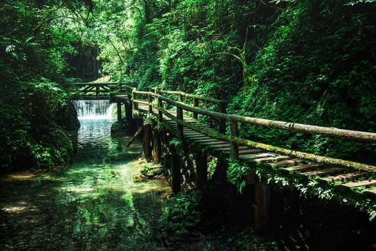 青城后山栈道