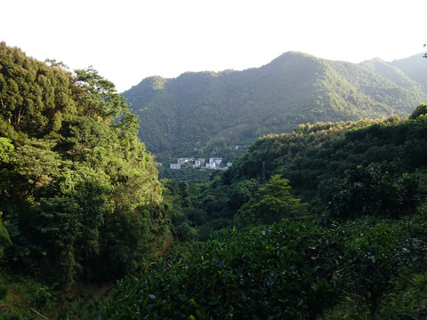 山上风景