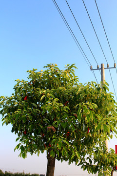 蓝色天空