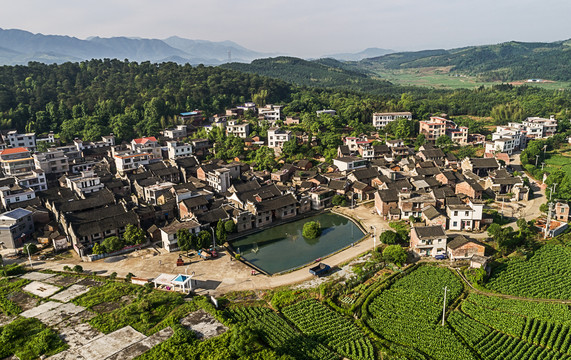 鲁塘陂副村