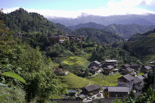 半山村庄