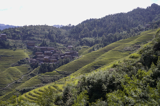 半山村