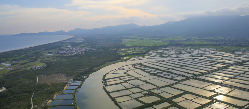 滩涂养殖