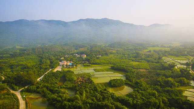 雾景