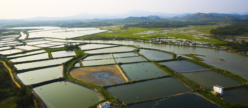 养殖场