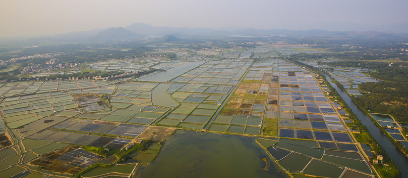 艺术线条