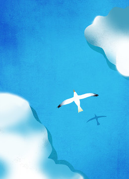 海鷗