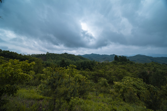 云山雾绕