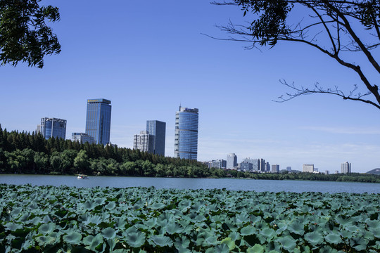 南京玄武湖风光