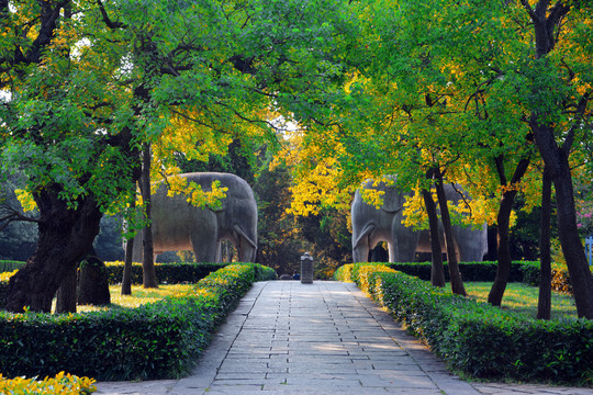 明孝陵石象路美景