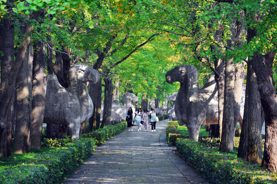 明孝陵石像路