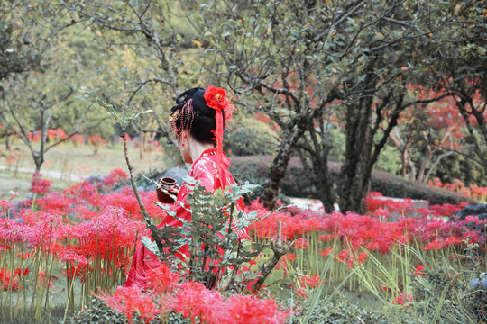 花中红衣美人