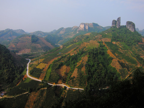 山区小路