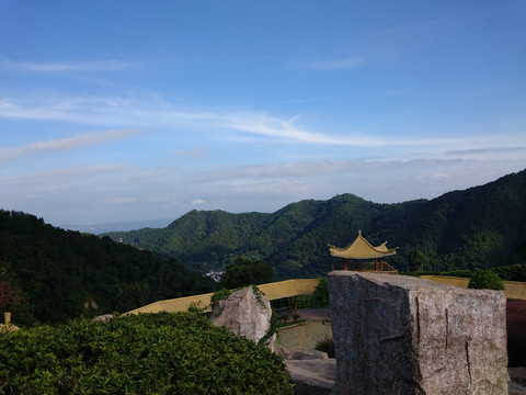 山上茶园风景