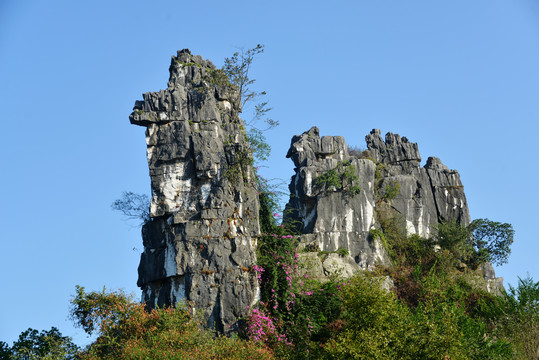 骆驼山