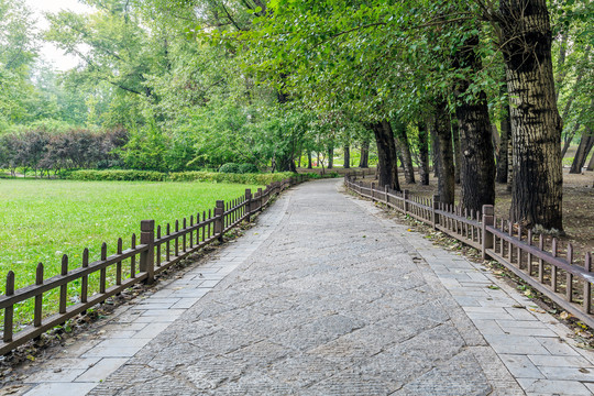 晋祠公园林荫路