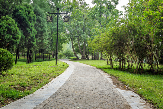 晋祠公园林荫小路