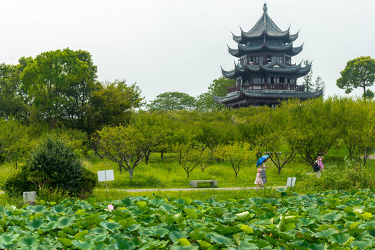 上海海湾国家森林公园