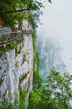 旅游胜地张家界景区风光