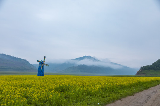 丹东油菜花田摄影基地