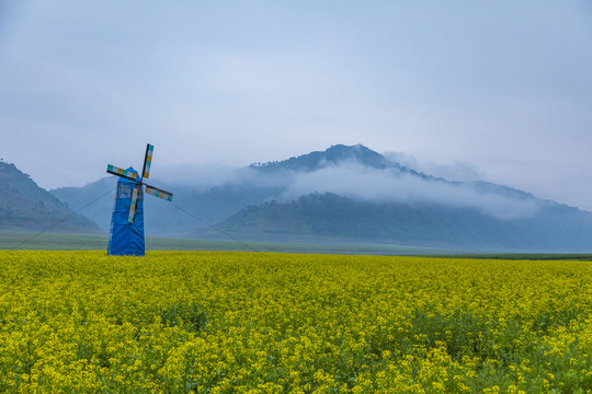 丹东油菜花田摄影基地