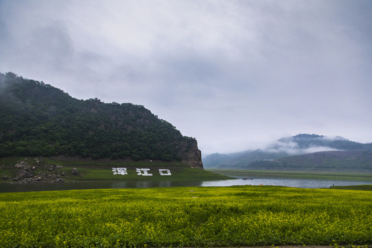 丹东油菜花田摄影基地