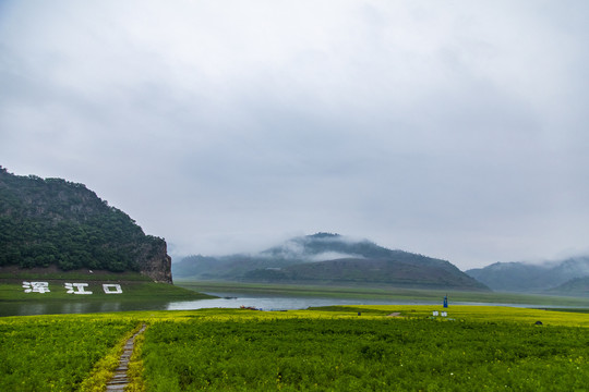 丹东油菜花田摄影基地